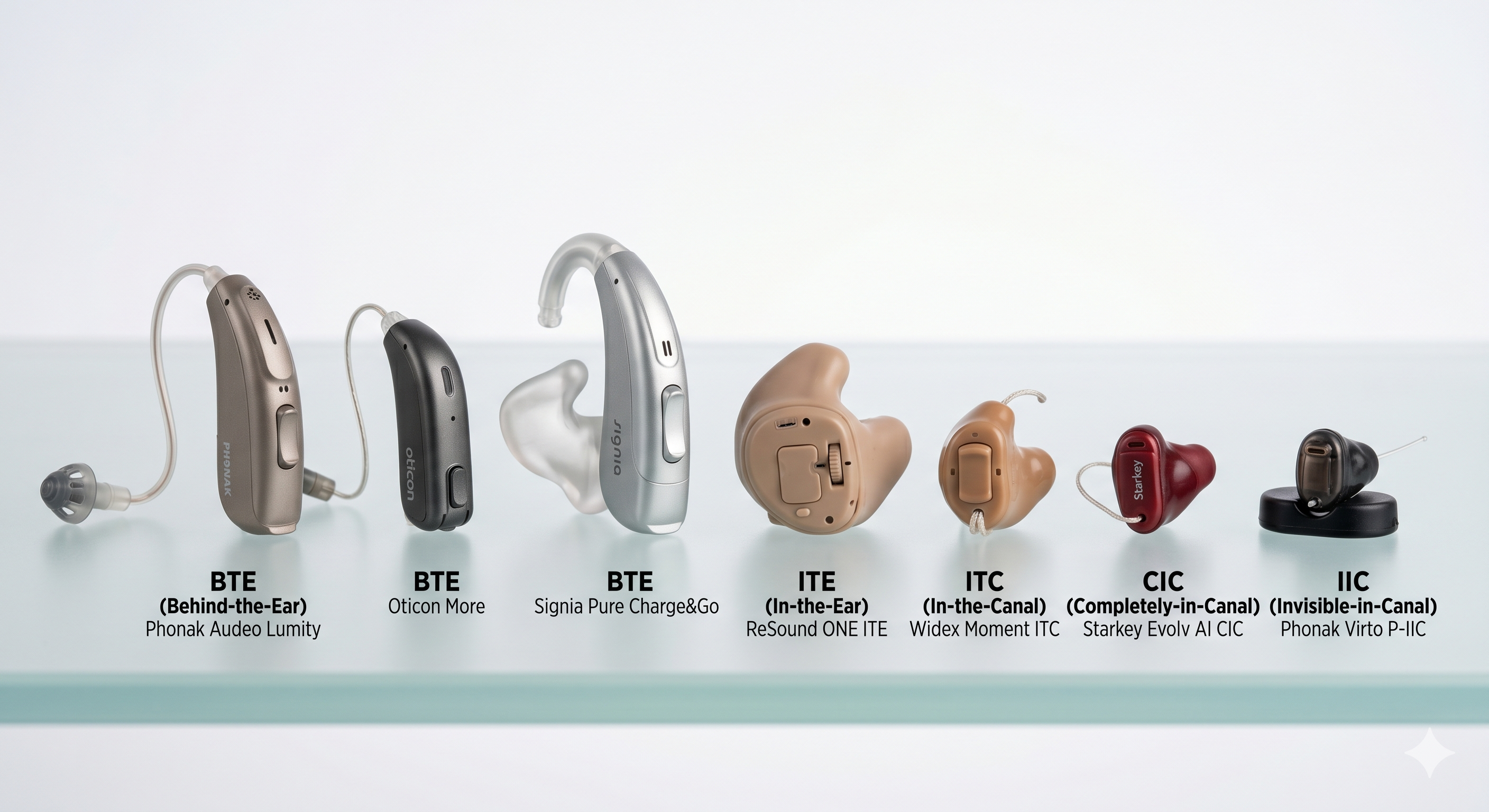 Digital Hearing Aids